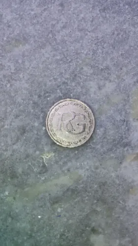 Ficha Colecionável RG Com Setas no Verso 