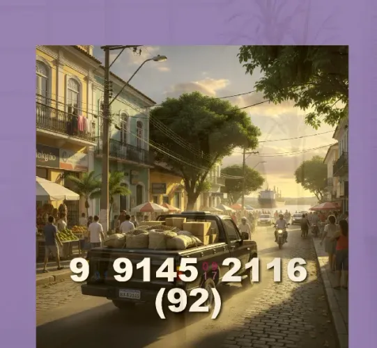 FRETE/TRANSPORTE DE CARGAS ? COM OU S/AJUDANTES