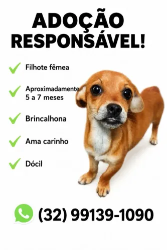 Cachorro (filhote de cadela)