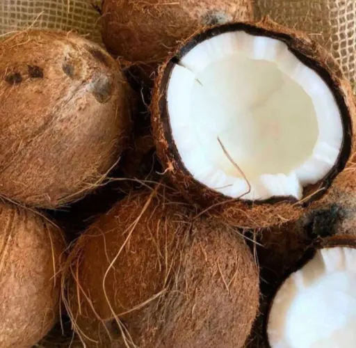 Coco Seco ja Descascado