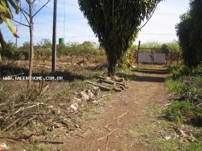 Terreno para Venda em Londrina, Indústrias Leves