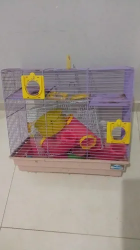 Gaiola para Hamster com Acessórios