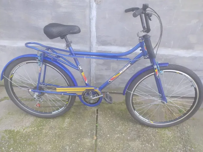 RELÍQUIA BICICLETA BRANDANI