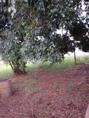 Terreno à venda na Cidade Universitária em Campinas na Davanti Imóveis.