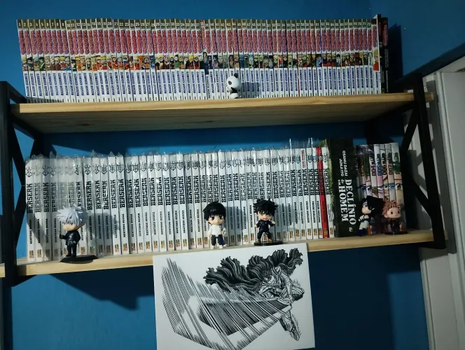 Coleção Berserk Completo + Guia e volume especial 41