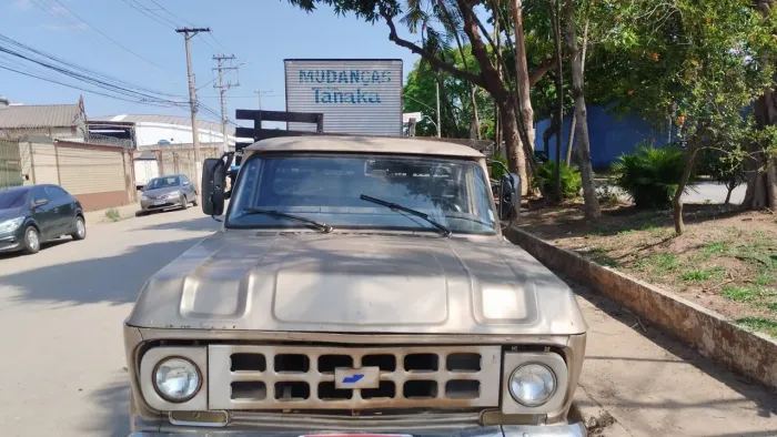 Chevrolet C-10 2.5/4.1 1979