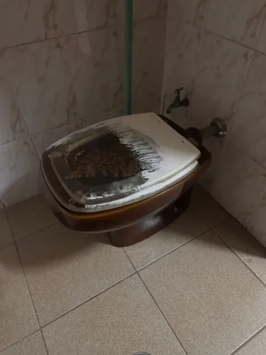 Vaso sanitario