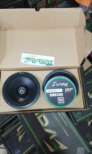 Par de evok 300rms