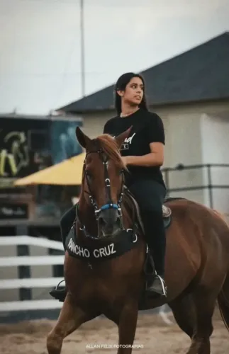 cavalo de vaqueja