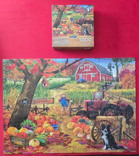 Quebra-cabeça importado 1000 peças - roseart