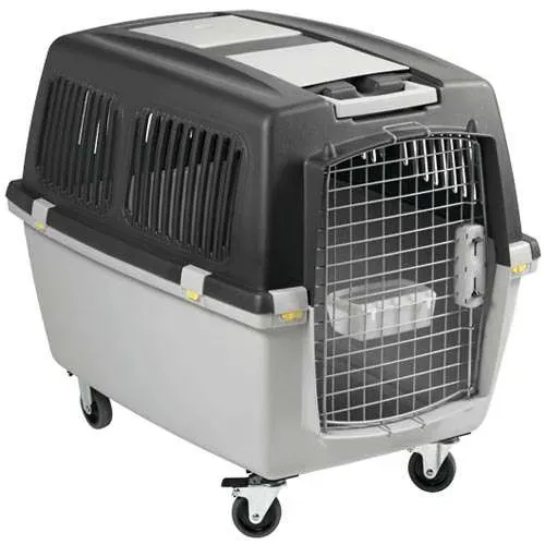 Caixa de Transporte Pet Chalesco Gulliver Nº 7