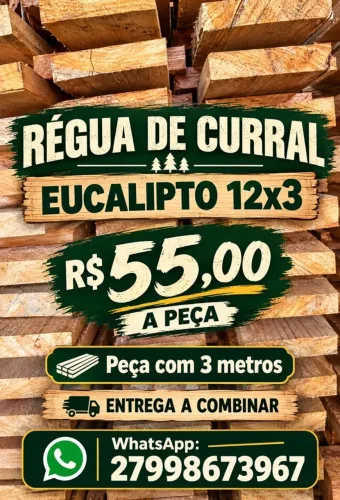 Madeiras vários tamanhos