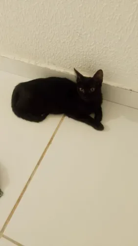 Para doação responsável