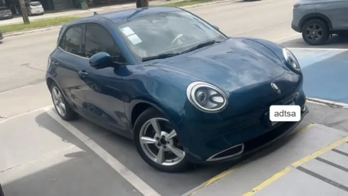 GWM Ora 03 Skin (elétrico) 2024