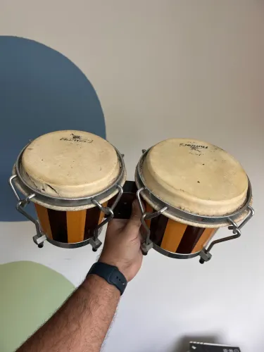Bongô