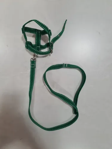 Vende-se coleira e guia para seu pet