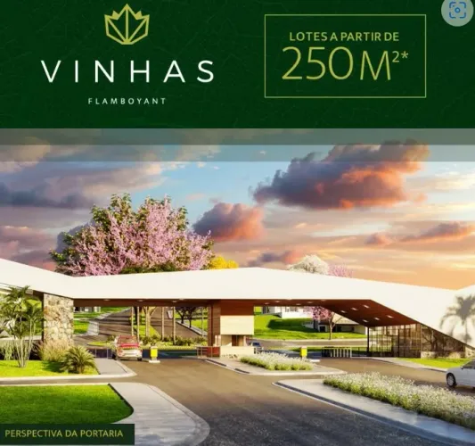 Vinhas Flamboyant