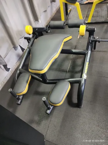 Mesa flexora