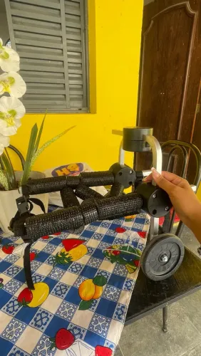 Cadeira de roda para pet