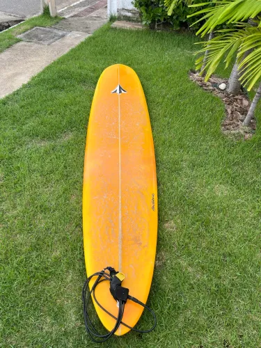 Prancha de Surf Lonboard 9?0