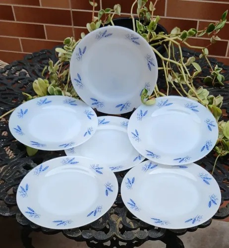 6 pratos de sobremesa Colorex Triguinho novos !