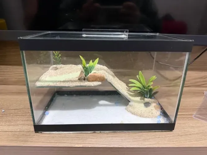 AQUARIO/TERRAREO