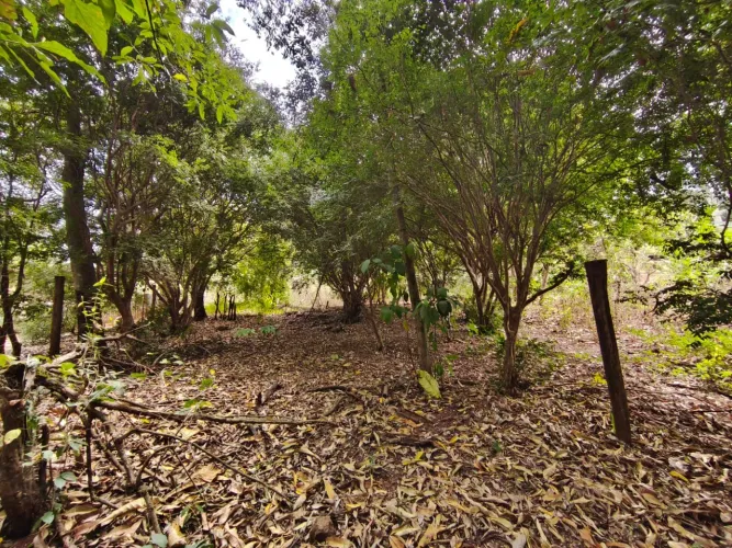 Chácara de 2.738 m² com córrego e Rêgo D'água