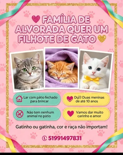 PROCURO GATINHOS PARA ADOÇÃO