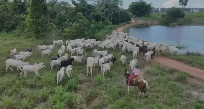 Fazenda para venda possui 4.782 hectares na zona rural Tucuruí - Tucuruí - PA