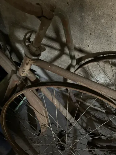 Bicicleta antiguidade 