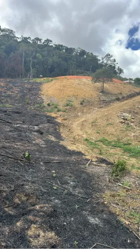 Vendo um lugar incrível
