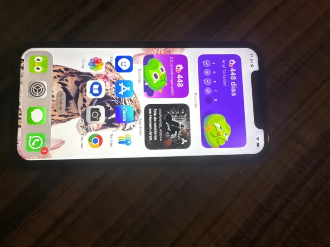 IPHONE XR 128 Bateria 100%