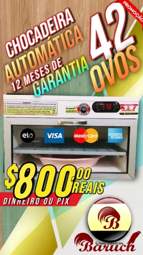 Chocadeira Baruch automática 42 ovos