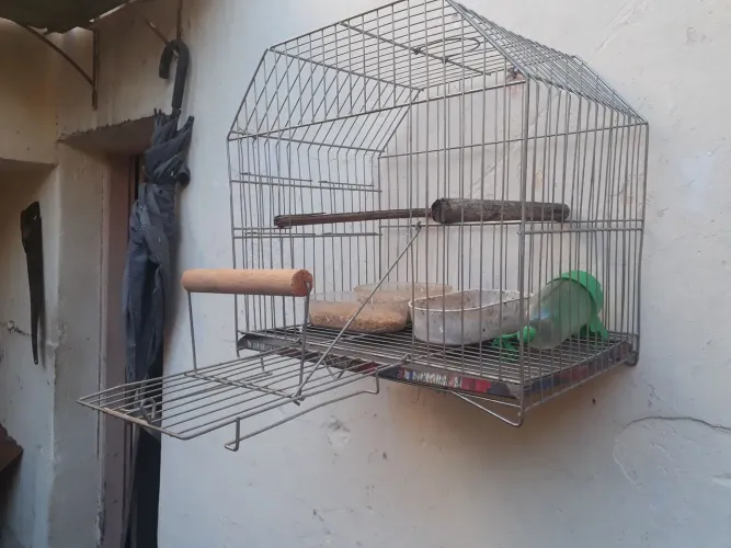Vendo ótima gaiola de calopsita mansa. Novinha. Barata