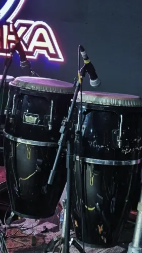 Pá de congas Remo com Peles sintética originais