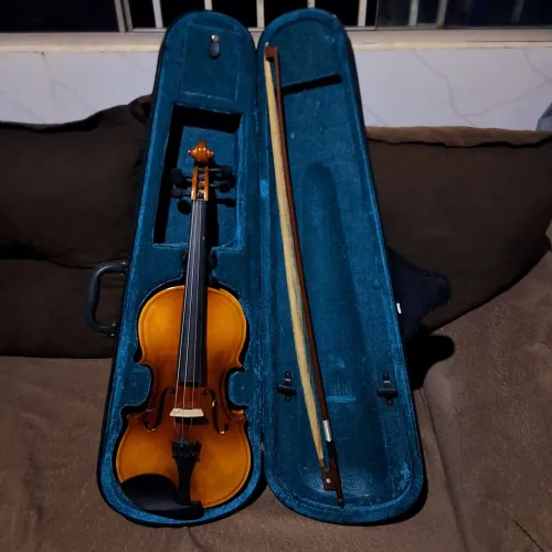 Violino