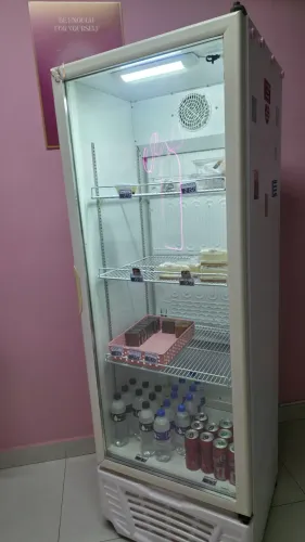 Geladeira 414L Expositora Gelopar 220v - negocio no pix pra vender rápido
