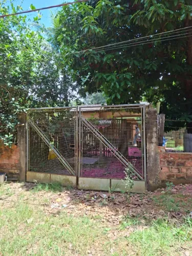 LOTE URBANO - RUA DO SOL . Após Av. Guaporé. A 50 m da Calama. 1.500 m².