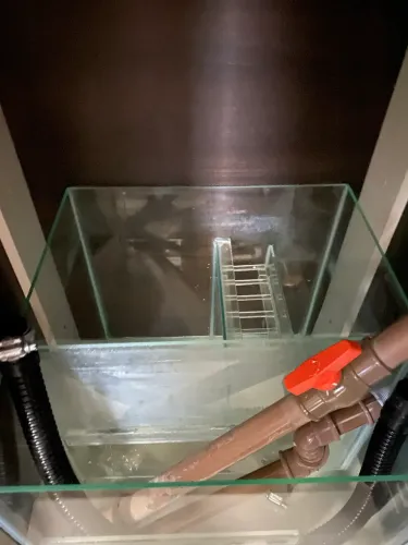 Aquário Completo com Estrutura e Equipamentos