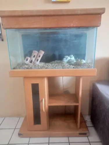 Aquário ornamental 