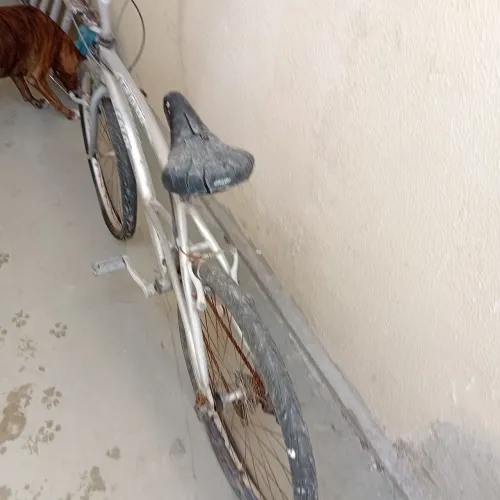 Bicicletas - duas baratas