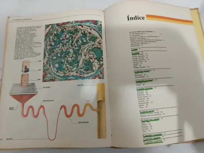 Novo Atlas Do Corpo Humano (1988) Pogliani, G.-antigo (Usado)