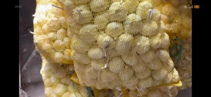 Alho R$ 10/kg