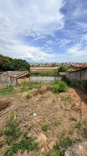 Lote 360m2 para locação, São Bernardo, Belo Horizonte, MG
