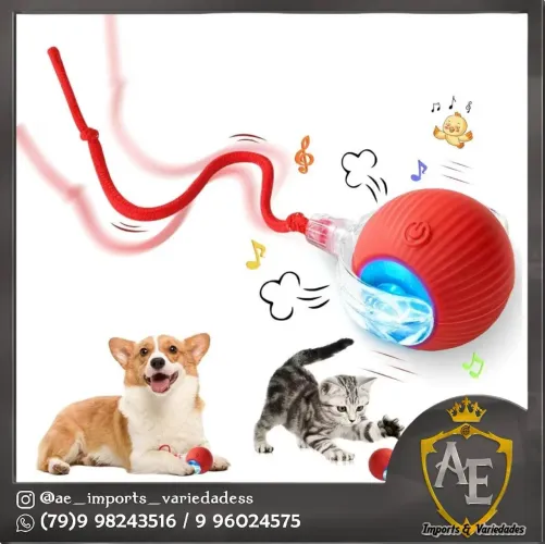 Bolinha para pets