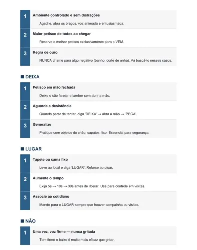 PDF livro 