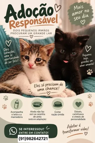 Adoção responsável
