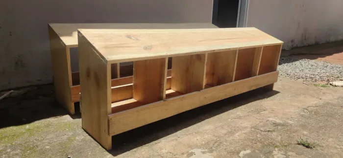 Ninho para galinhas 5 compartimentos 