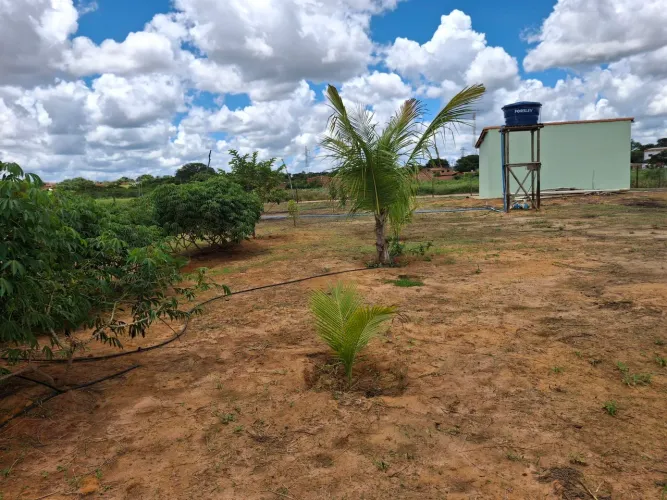 VENDO CHÁCARA DE 1.800M² EM JAIBA