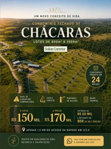 Lote